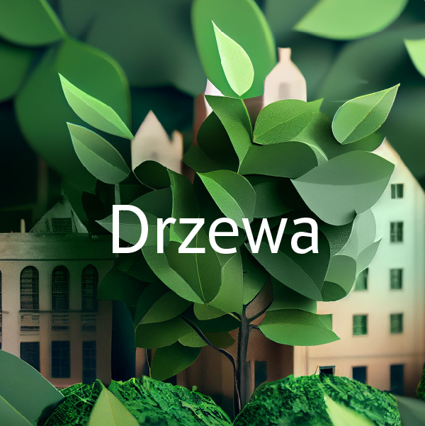 Drzewa