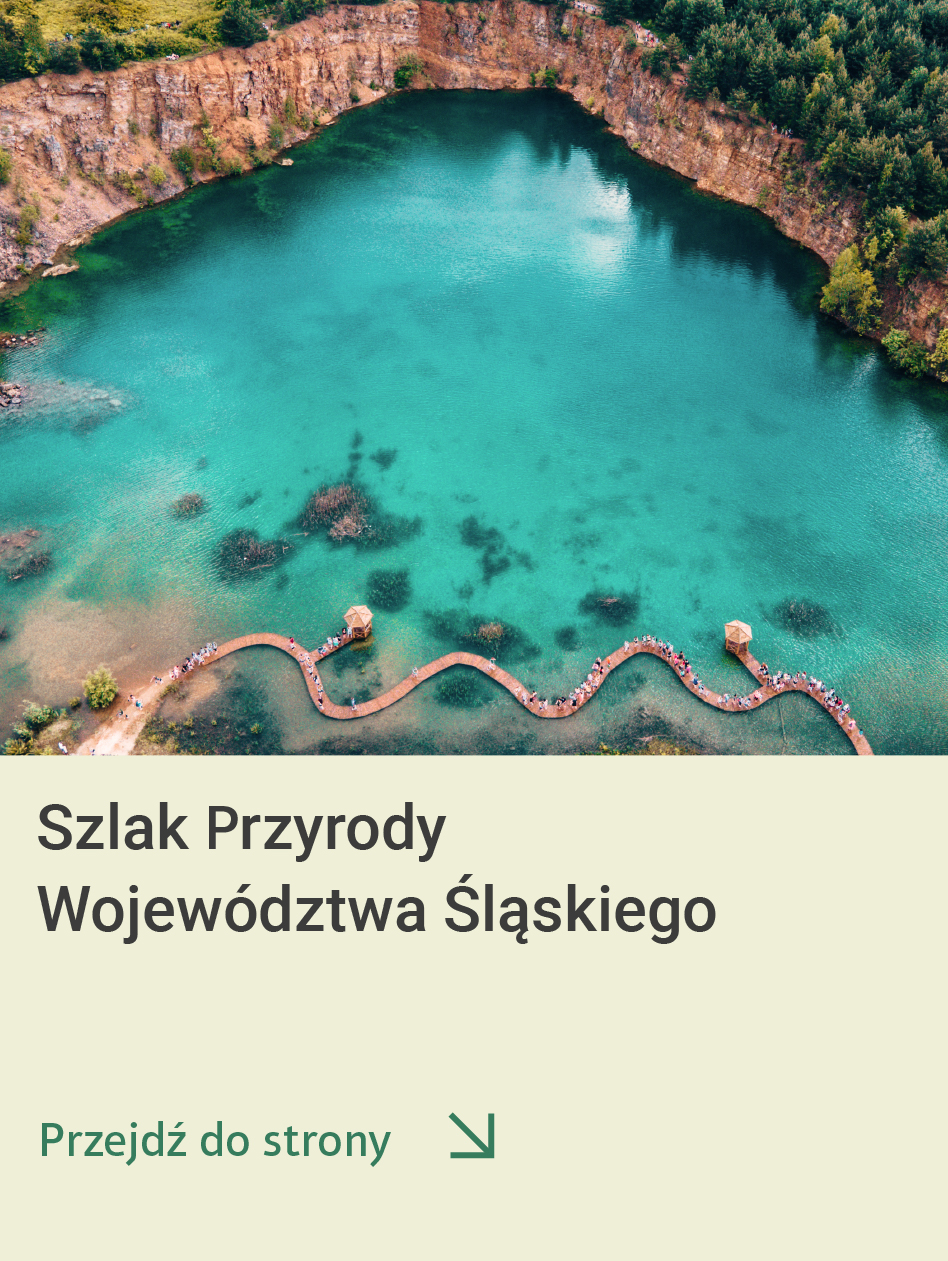 Szlak Przyrody