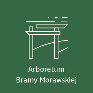 Arboretum Bramy Morawskiej