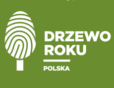 Logo. Na zielonym tle jest z lewej strony zarys białego drzewa. Z prawej strony jest biały napis w pionie: Drzewo Roku Polska, oddzielone  białą poziomą linią.