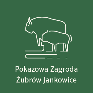 Pokazowa Zagroda Żubrów Jankowice