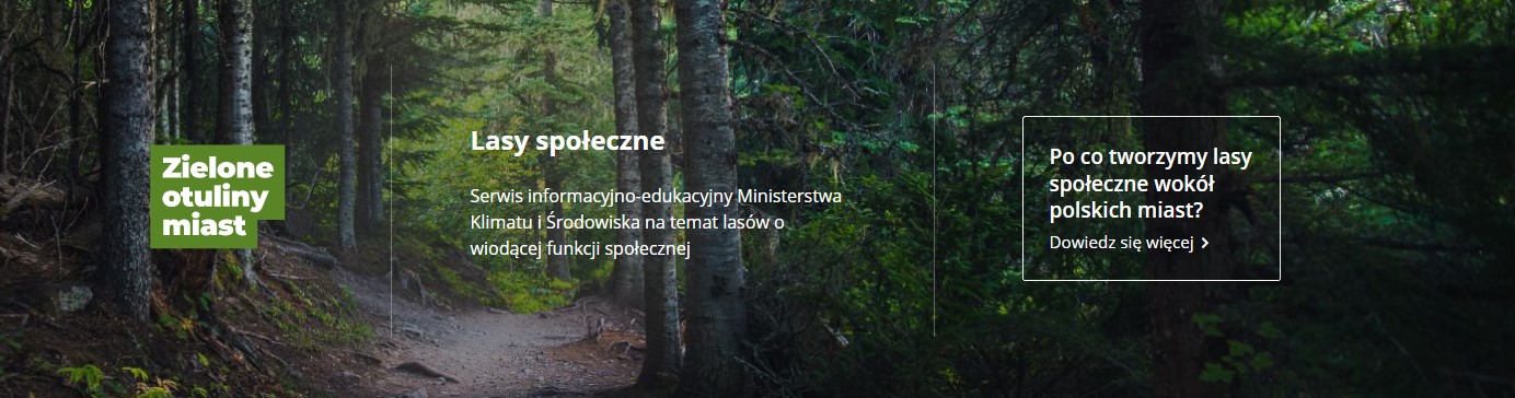Grafika promująca projekt lasów społecznych, w tle ścieżka biegnąca przez zwarty las, tytuł projektu z krótkim wyjaśnieniem, zaproszenie do pogłębienia wiedzy.
