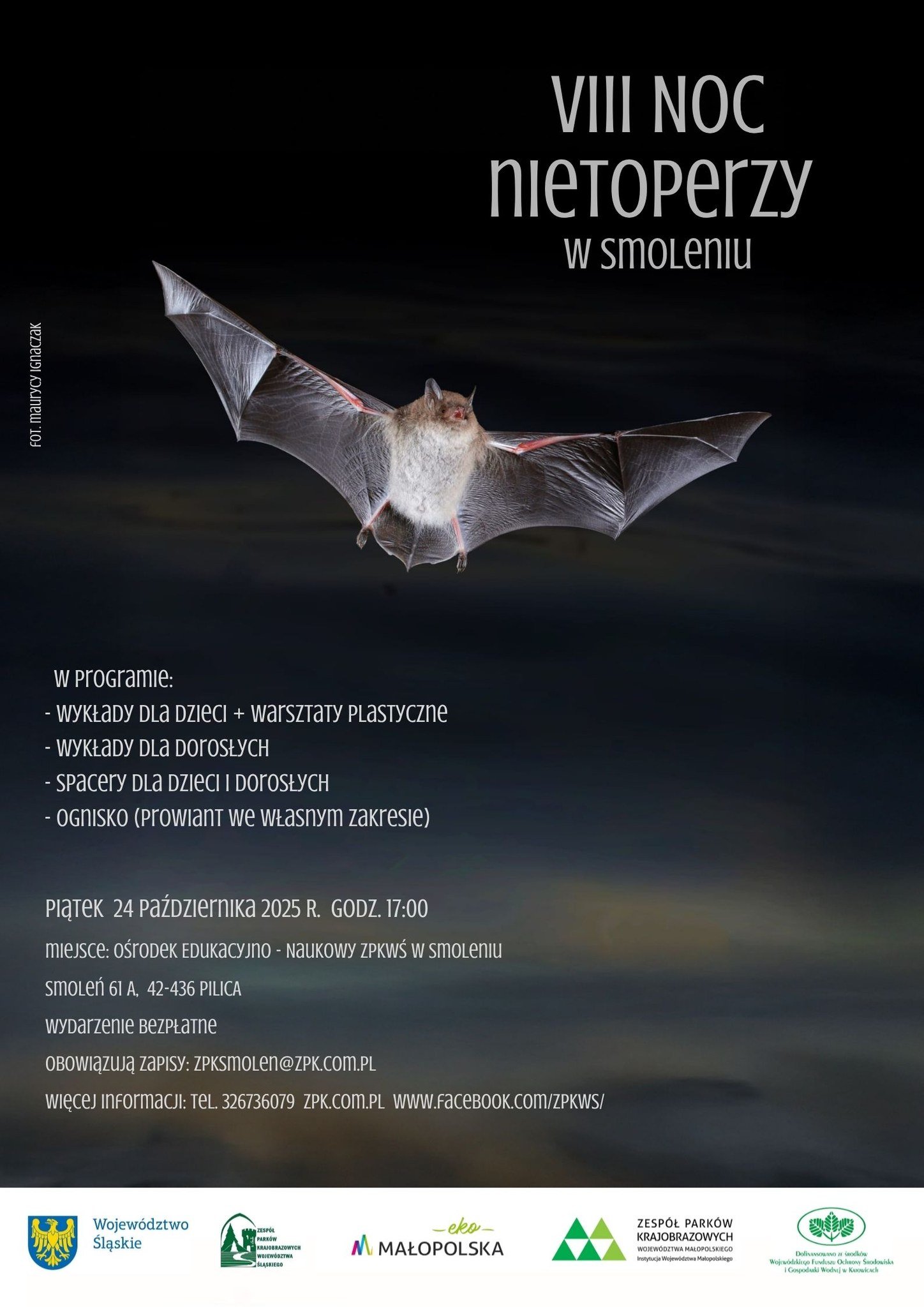 Plakat promujący VIII Noc Nietoperzy w Smoleniu, na czarnym "nocnym" tle centralnie sylwetka nietoperza w locie, w prawym górnym rogu białe hasło wydarzenia, w lewym dolnym rogu podstawowe informacje o wydarzeniu.