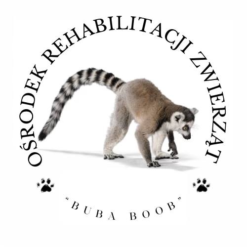 Logo Ośrodka Rehabilitacji Dzikich Zwierząt Buba Boob