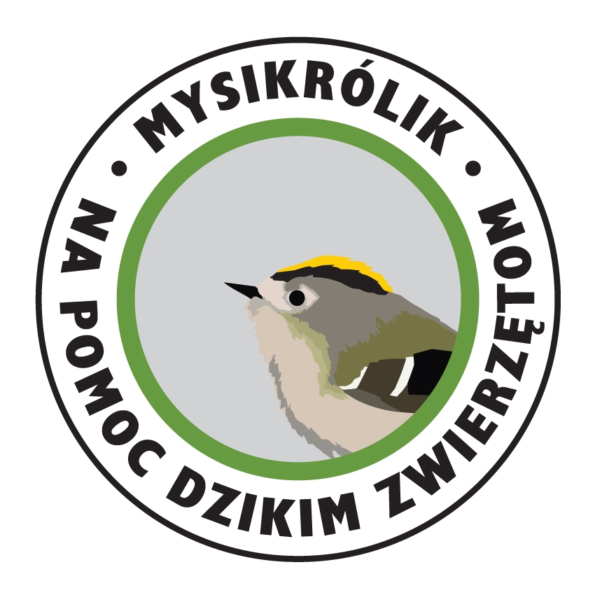 Logo Fundacji Mysikrólika - Na Pomoc Dzikim Zwierzętom