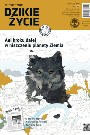 Miesięcznik „Dzikie Życie”