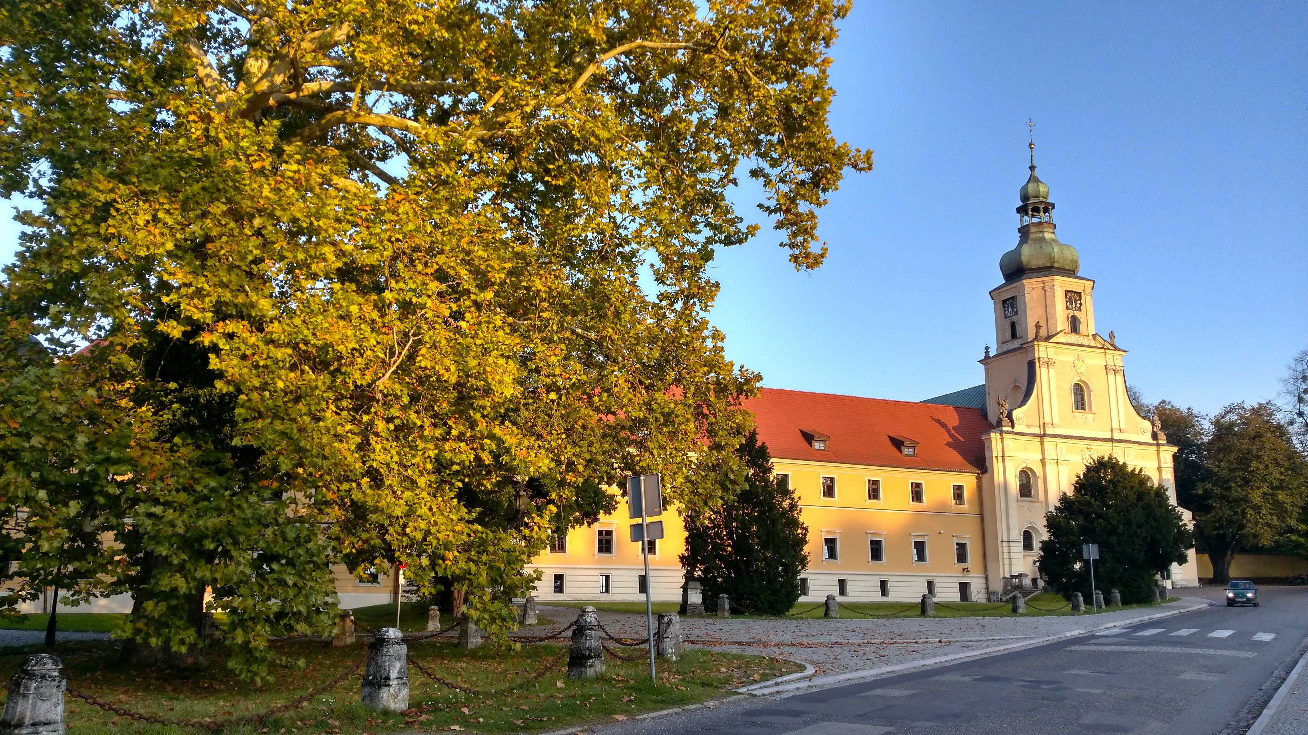Zdjęcie przedstawia zabudowania klasztor/bazylikę i pałac Opactwa cystersów w Rudach po prawej stronie oraz zadrzewienia parkowe po lewej stronie. Na pierwszym planie jest ulica.
