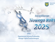 Życzenia Szczęśliwego Nowego Roku 2025 Departamentu Ochrony Środowiska, Ekologii i Opłat Środowiskowych