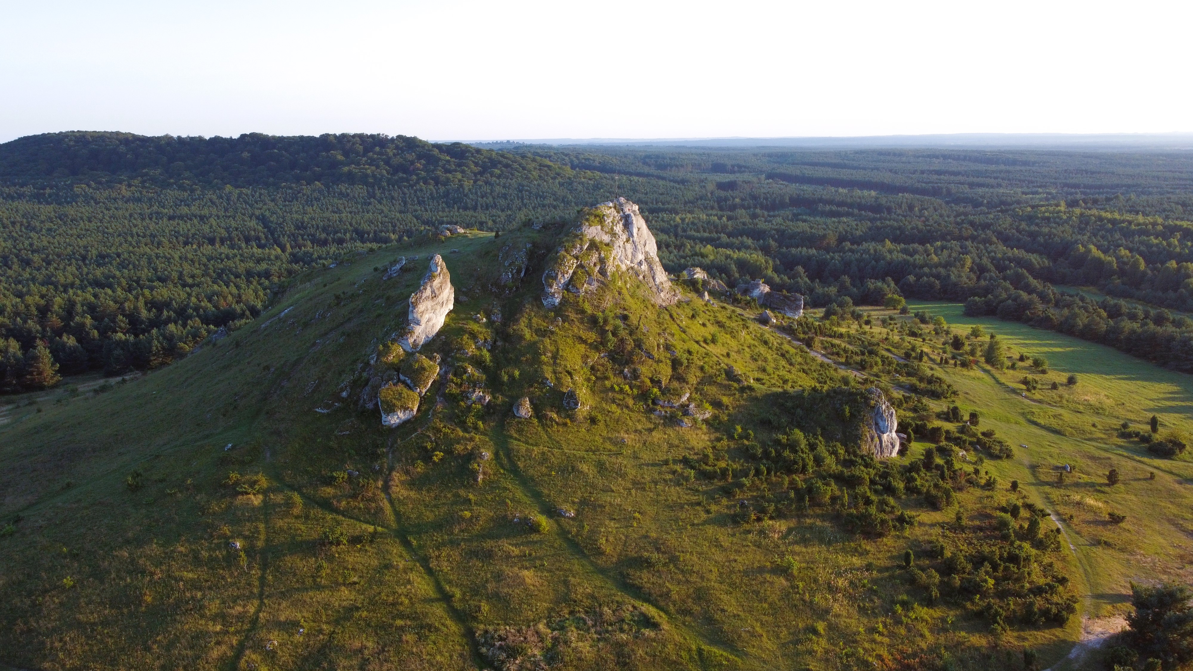 Widok z góry na bezleśne wzgórze z białymi skałami wapiennymi, w tle rozległe lasy.