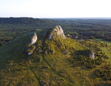 Widok z góry na bezleśne wzgórze z białymi skałami wapiennymi, w tle rozległe lasy.