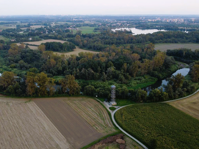 Widok z góry na naturalnie meandrujący odcinek rzeki Odry w otoczeniu mozaikowo rozmieszczonych pól uprawnych, łąk i lasów z charakterystyczną wieżą widokową na pierwszym planie.