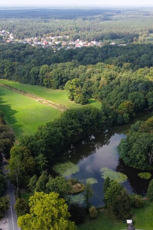 Widok z góry na park w Rudach Raciborskich, na pierwszym planie staw otoczony drzewami oraz droga prowadząca do dużego obiektu przemysłowego (hale itp.) w sąsiedztwie. W oddali zwarta zabudowa miejska otoczona lasami.