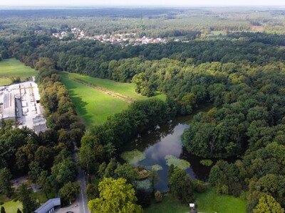Widok z góry na park w Rudach Raciborskich, na pierwszym planie staw otoczony drzewami oraz droga prowadząca do dużego obiektu przemysłowego (hale itp.) w sąsiedztwie. W oddali zwarta zabudowa miejska otoczona lasami.