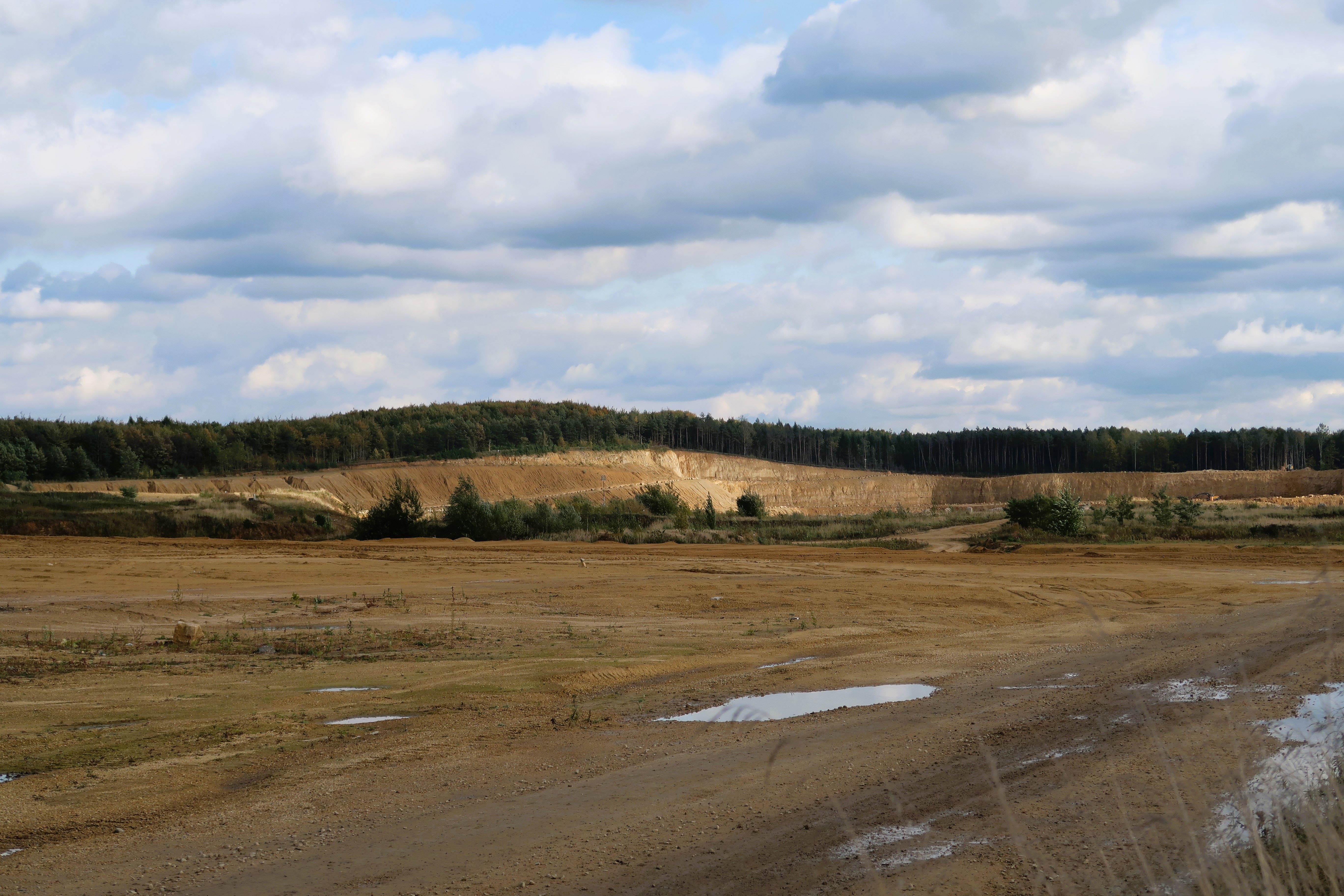 Widok na teren czynnej eksploatacji odkrywkowej, na pierwszym planie rozległa płaska powierzchnia w kolorze mokrego piasku z pojedynczymi kałużami, w tle ściana kamieniołomu w tym samym kolorze, przed ścianą i na górze zadrzewienia i las.
