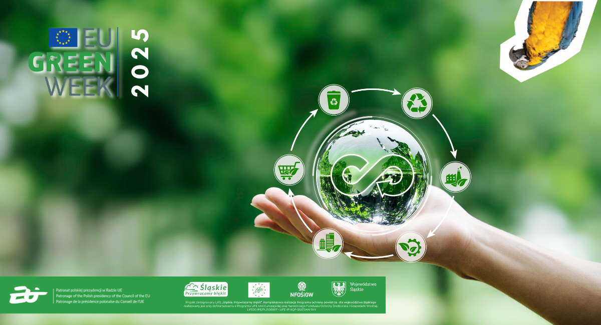 Grafika promująca Śląski Zielony Tydzień 2025 - w lewej strony logo UE i napis EU Green Week 2025, centralnie dłoń na której leży szklana kula z wodą i zielenią w środku, dookoła kuli zielono-białe okręgi z symbolami graficznymi głównych założeń programu; w prawym górnym rogu papuga odwrócona do górny nogami na białym tle; na dole zielone pole z logami partnerów projektu; w tle rozmyte silnie zielone drzewa.