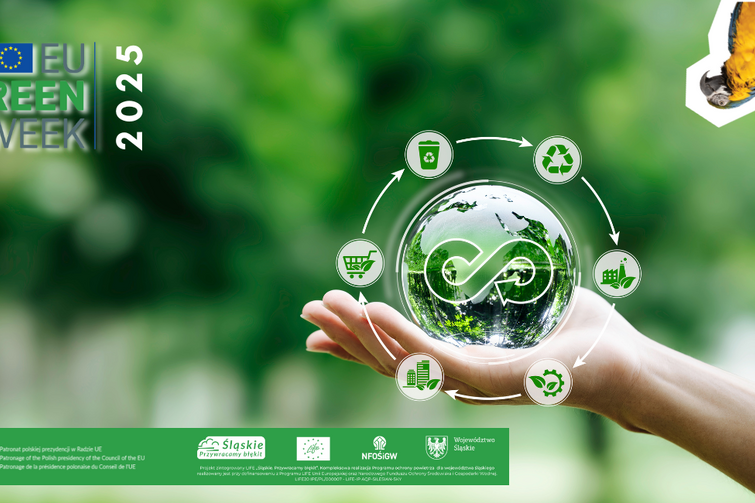 Grafika promująca Śląski Zielony Tydzień 2025 - w lewej strony logo UE i napis EU Green Week 2025, centralnie dłoń na której leży szklana kula z wodą i zielenią w środku, dookoła kuli zielono-białe okręgi z symbolami graficznymi głównych założeń programu; w prawym górnym rogu papuga odwrócona do górny nogami na białym tle; na dole zielone pole z logami partnerów projektu; w tle rozmyte silnie zielone drzewa.