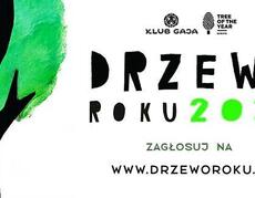 Grafika promująca konkurs. Białe tło, centralnie w kolejnych rzędach czarną czcionką (tylko rok 2025 zieloną): logo Klubu Gaja i obok logo konkursu, poniżej napisy: Drzewo Roku 2025 zagłosuj na www.drzeworoku.pl; z lewej strony zarys czarnego pnia i zielonej korony drzewa; w prawym dolnym rogu czarny zarys człowieka z podniesioną ręką trzymającą zielony liść