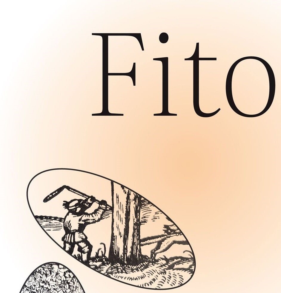 Fragment grafiki promującej wystawę „Fitoglosje” – tło w kolorze białym, z lewej strony okrąg w odcieniu pomarańczowym. Centralnie czarną czcionką tytuł "Fitoglosje", poniżej grafiki z motywami roślinnymi.
