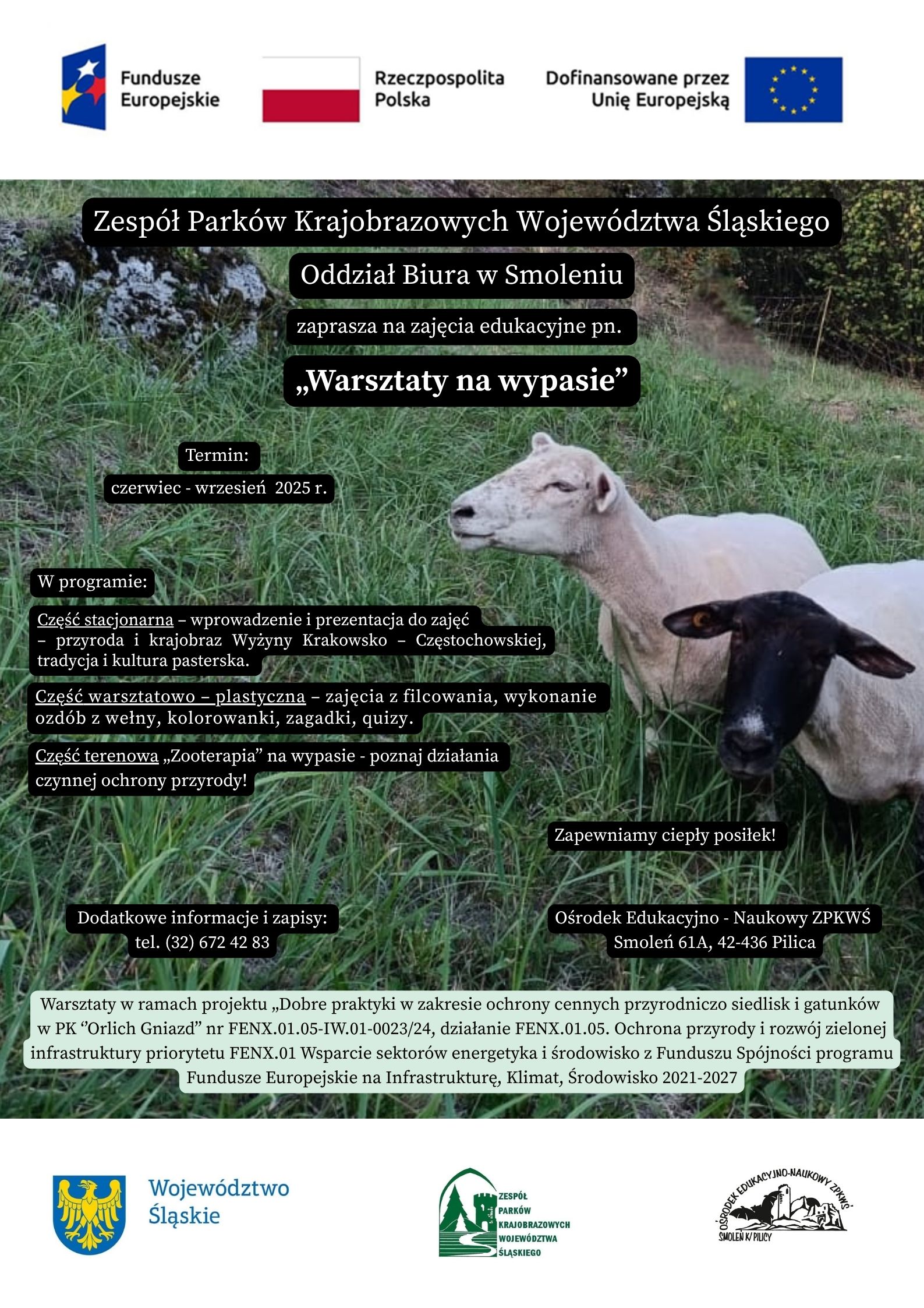 Plakat promujący "Warsztaty na wypasie" organizowane przez Odział Biura ZPKWŚ w Smoleniu z programem i informacjami organizacyjnymi.