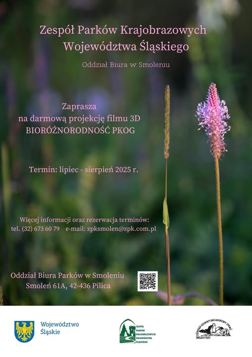 Plakat promujący darmową projekcję filmu 3D, w tle rozmyta łąka, na plakacie informacje organizacyjne oraz kod QR.