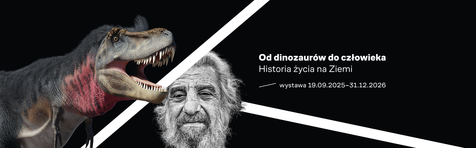 Grafika promocyjna wystawy „Od dinozaurów do człowieka. Historia życia na Ziemi”, tytuł, miejsce i termin; przedstawia głowę dinozaura i starca na czarnym tle.