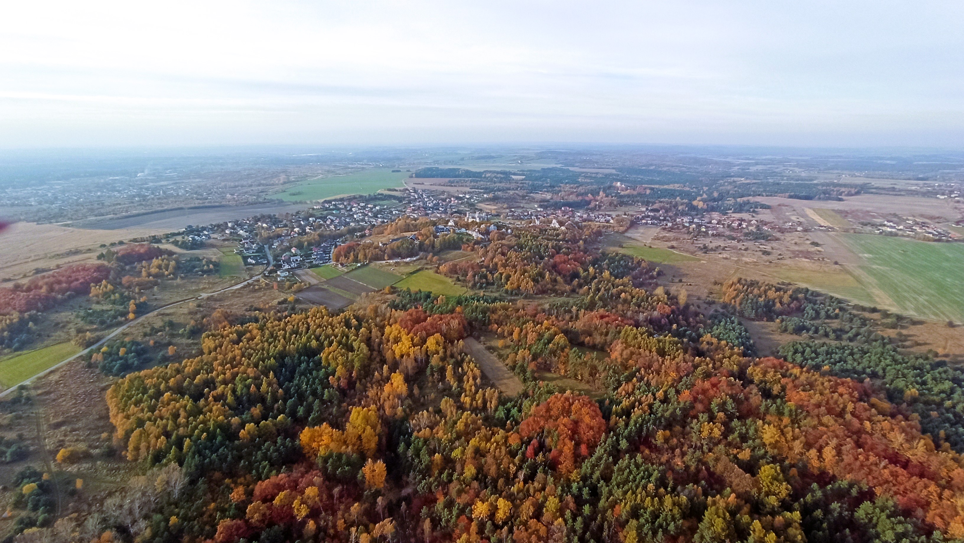 Widok z góry na mozaikę  lasów i terenów zielonych, w oddali zabudowania miejskie/wiejskie.