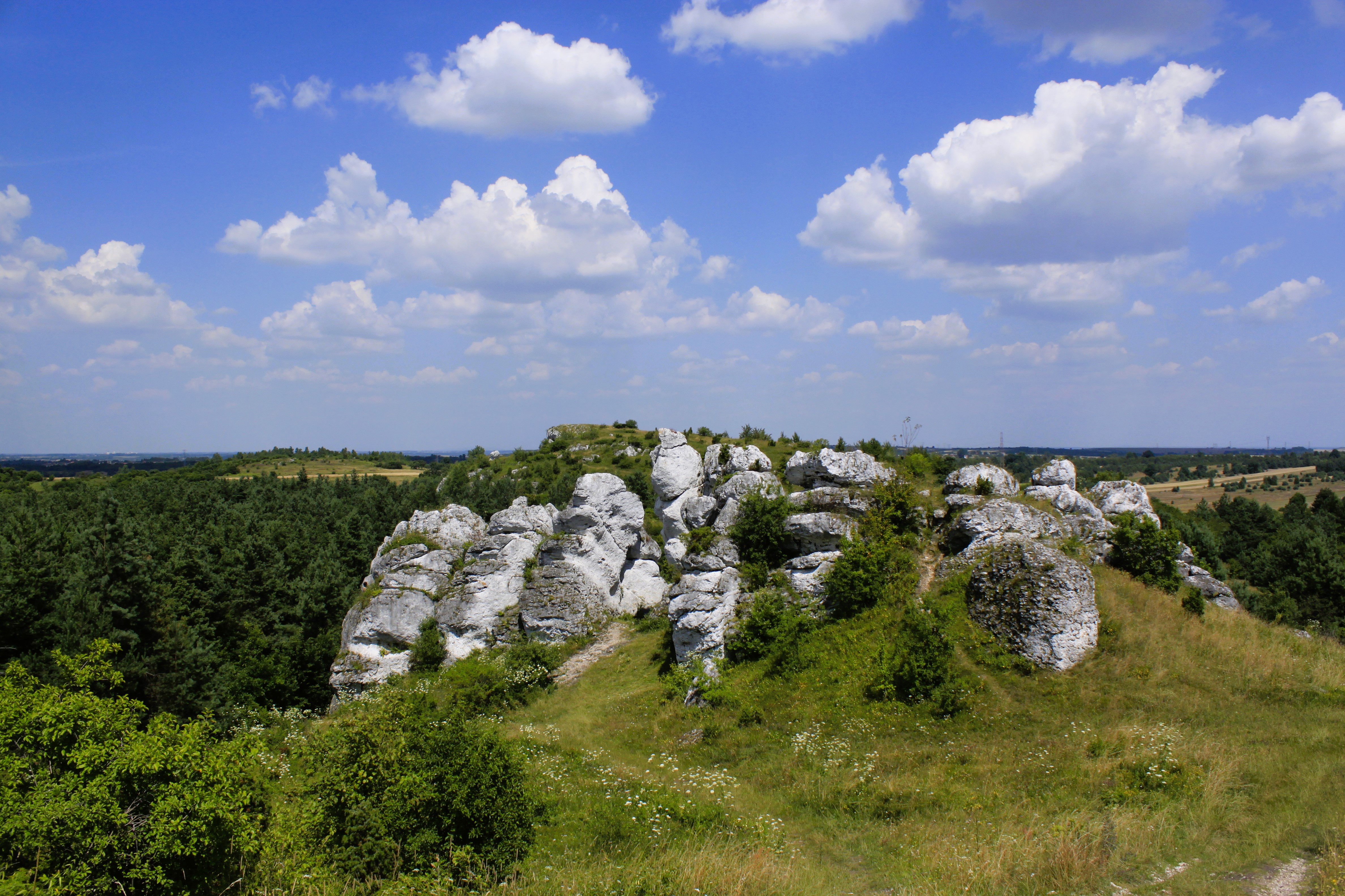 Widok na ostańce wapienne otoczone bezleśnymi murawami, w tle i w dole lasy, powyżej błękitne niebo z białymi obłokami.