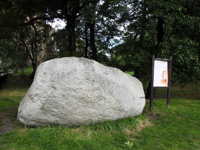Zdjęcie przedstawia głaz narzutowy (jasnoszary) na trawniku, obok po prawej stronie stoi drewniana tablica informacyjna, w tle las i zarys budynku.